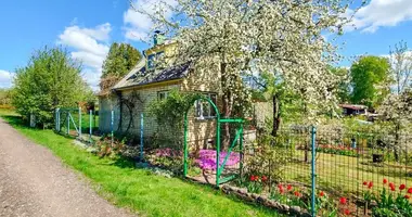 House in Laumenai, Lithuania