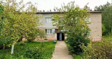 Apartamento 2 habitaciones en Lahoysk, Bielorrusia