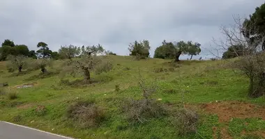 Grundstück in Paliouri, Griechenland