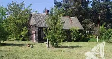 Дом в Комаровка, Беларусь
