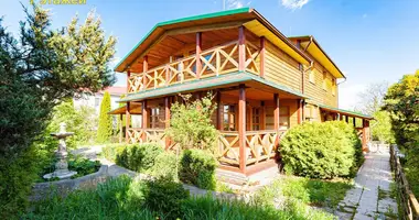 Haus in Pryvolny, Belarus