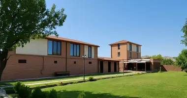 Unique family wine house with cellar, hotel rooms, vineyard and own wine brand.  w , Gruzja
