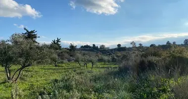Grundstück in Gavalochori, Griechenland