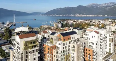 1 bedroom apartment in Montenegro