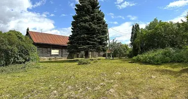 Maison dans Kedainiai, Lituanie