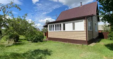 Haus in Uzdzienski sielski Saviet, Belarus