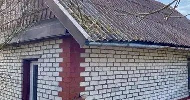 Дом в Липень, Беларусь