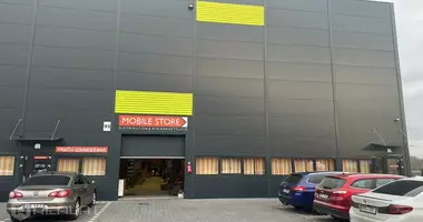 Commercial in Terini, Latvia