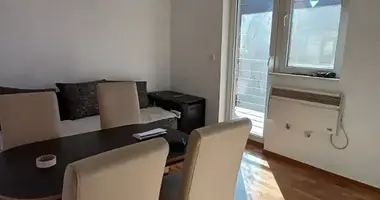 2 room apartment in Belgrade, Serbia