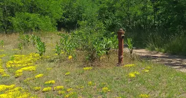 Plot of land in Tapioszecso, Hungary