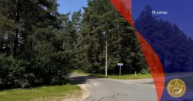 Terrain dans Minsk, Bélarus