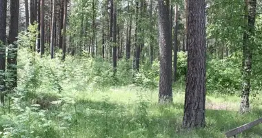 Terrain dans Riga, Lettonie