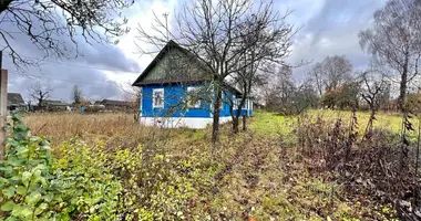 House in Raycevskiy selskiy Sovet, Belarus