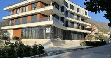Shop 284 m² in Kolašin Municipality, Montenegro