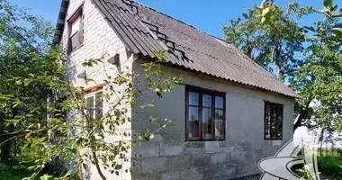 House in Skoki, Belarus