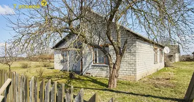 Maison dans Perezhir, Biélorussie