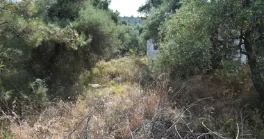 Parcela en Skala Sotiros, Grecia