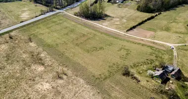 Grundstück in Didziosios Kabiskes, Litauen