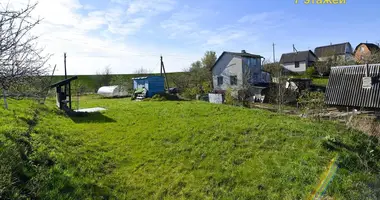 Plot of land in Dziamidavicki sielski Saviet, Belarus