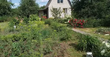 House in Dukorski sielski Saviet, Belarus