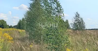 Участок земли в Городецкий муниципальный округ, Россия
