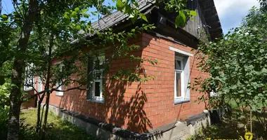 Dom w Hajnienski sielski Saviet, Białoruś