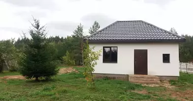 House in Saskouski sielski Saviet, Belarus