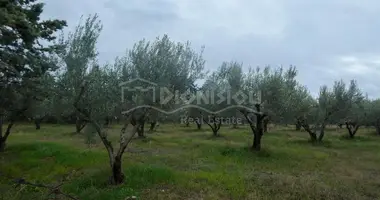 Plot of land in Kalyves, Greece