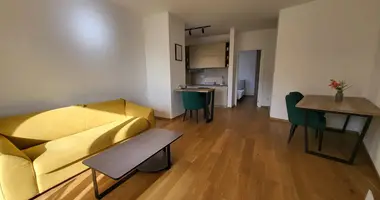 Wohnung 1 Schlafzimmer in Montenegro