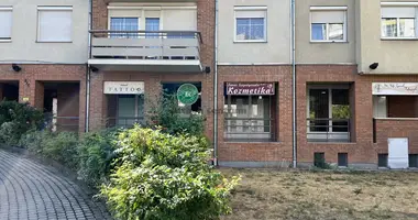 Gewerbefläche 42 m² in Kecskemeti jaras, Ungarn