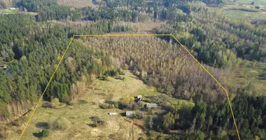 Plot of land in Riese, Lithuania
