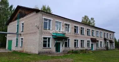 Manufacture 1 286 m² in Syava, Russia