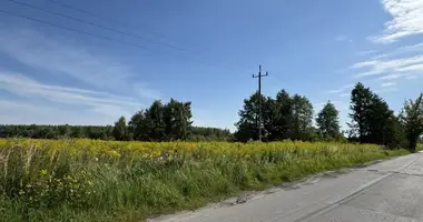 Участок земли в Лодзь, Польша