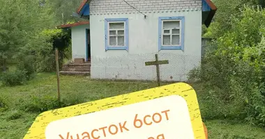 Dom w Sidaravicki siel ski Saviet, Białoruś