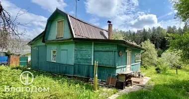 House in Kalodziscanski sielski Saviet, Belarus