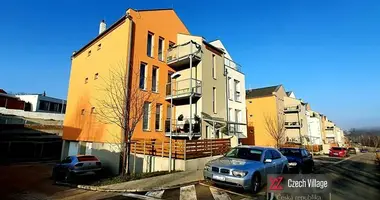 1 bedroom apartment in Teplice, Czech Republic