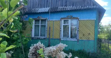 Haus in Orscha, Weißrussland