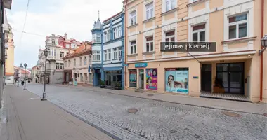 Коммерческое помещение 66 м² в Вильнюс, Литва