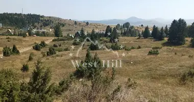 Terrain dans Zabljak, Monténégro