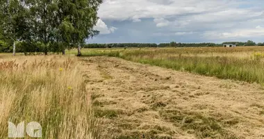 Plot of land in Dzilnuciems, Latvia