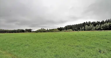 Plot of land in Gulbiniskiai, Lithuania