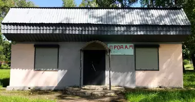 Geschäft 85 m² in Babrujsk, Weißrussland