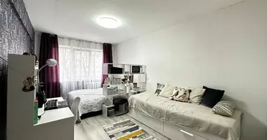 1 room apartment in Minsk, Belarus