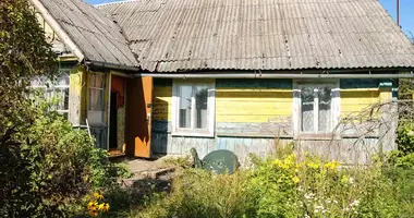 House in Pyatryshki, Belarus