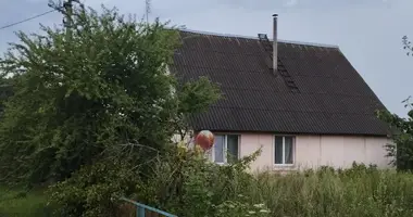 House in Lazduny 1, Belarus