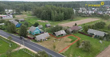 House in Rakauski sielski Saviet, Belarus