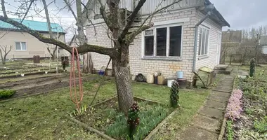 House in Paplauski sielski Saviet, Belarus