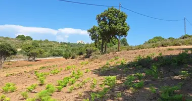 Plot of land in Chalikounas, Greece
