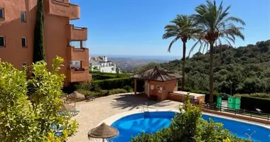 2 bedroom apartment in Marbella, Spain