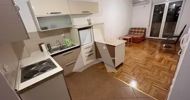 Wohnung 1 Schlafzimmer mit Möbliert, mit Klimaanlage in Budva, Montenegro